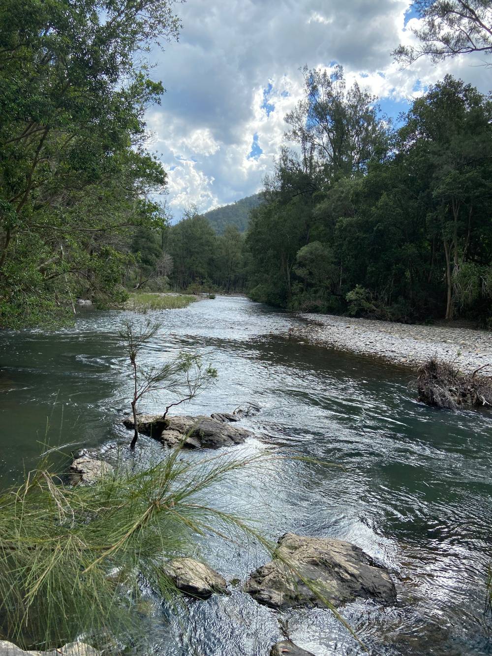 667 TOORUMBEE ROAD, MOPARRABAH, NSW 2440