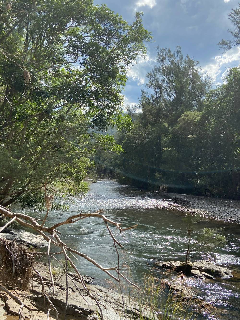 667 TOORUMBEE ROAD, MOPARRABAH, NSW 2440