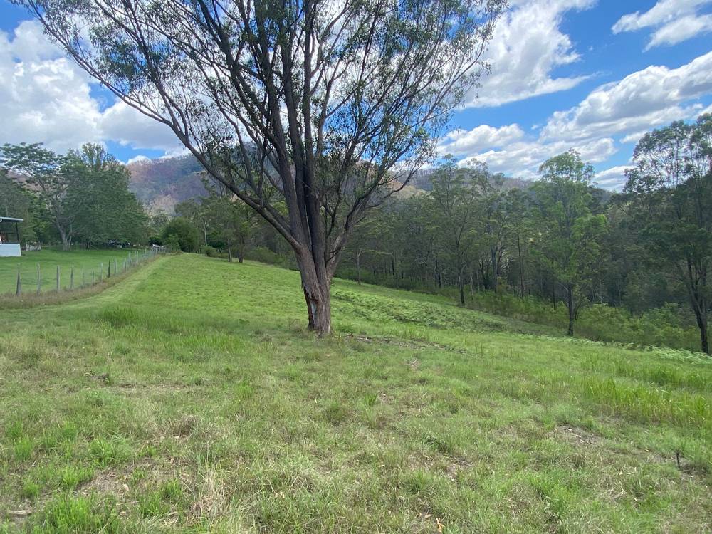 667 TOORUMBEE ROAD, MOPARRABAH, NSW 2440