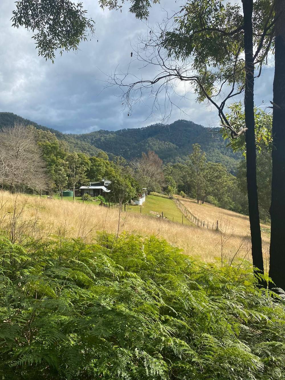 667 TOORUMBEE ROAD, MOPARRABAH, NSW 2440