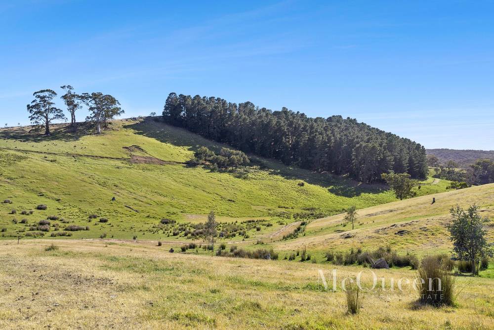 930 Porcupine Ridge Road, PORCUPINE RIDGE, VIC 3461