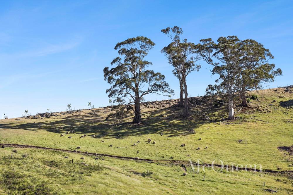 930 Porcupine Ridge Road, PORCUPINE RIDGE, VIC 3461