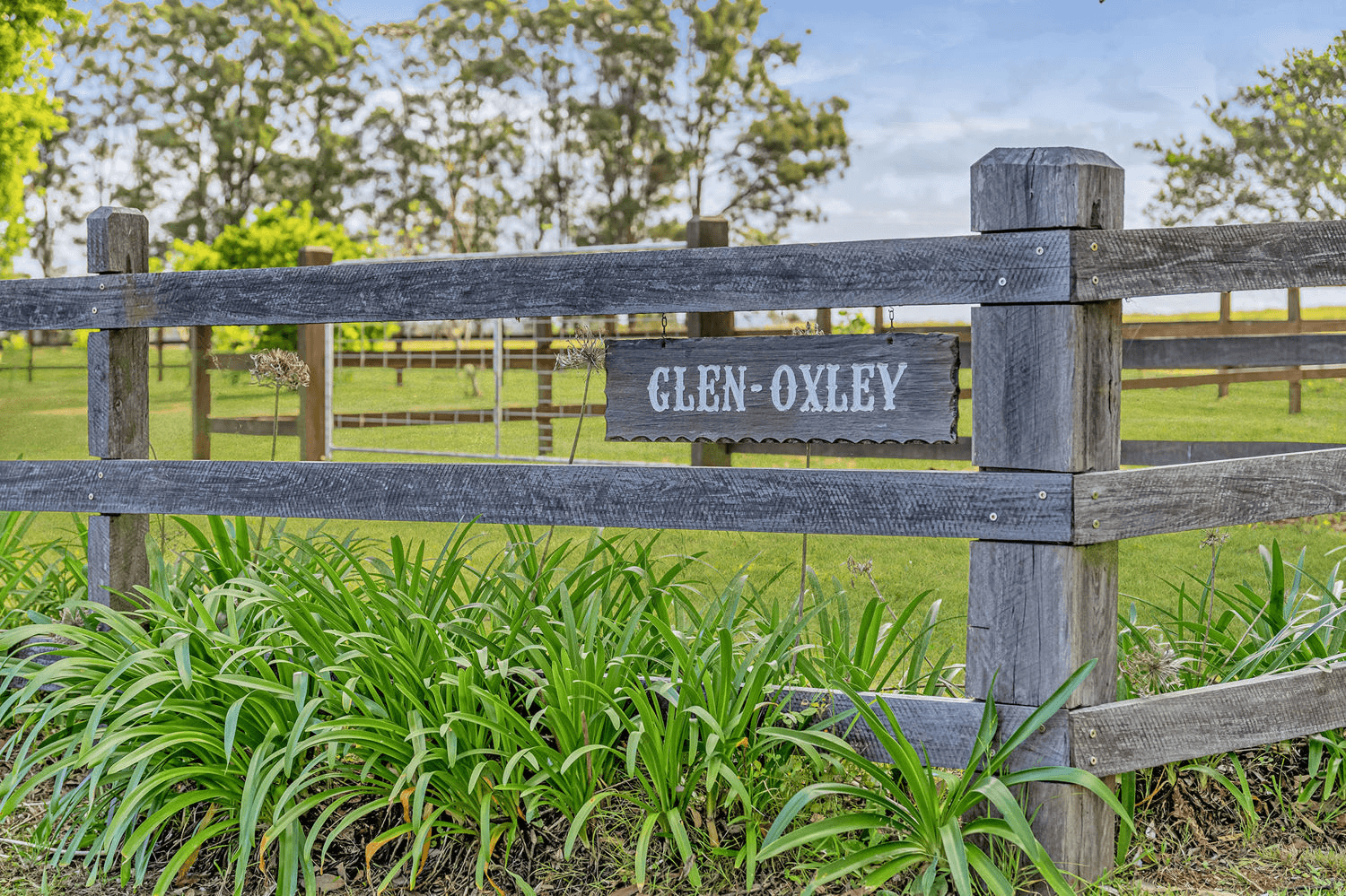 163 Redbank Road, REDBANK, NSW 2446