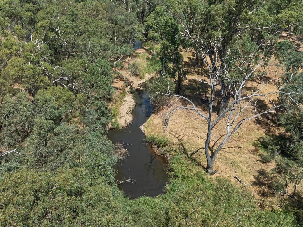 157 Morisons Road, MANGALORE, VIC 3663