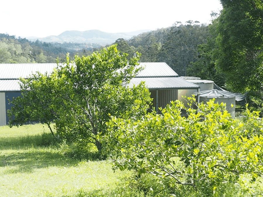 197 Fishermans Pocket Number One Road, CHATSWORTH, QLD 4570