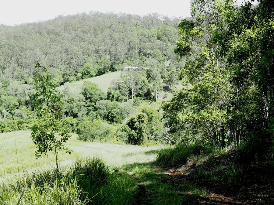 197 Fishermans Pocket Number One Road, CHATSWORTH, QLD 4570