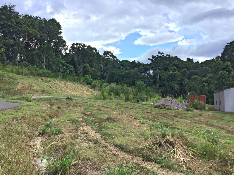 14 Junjum Close, Goldsborough, QLD 4868