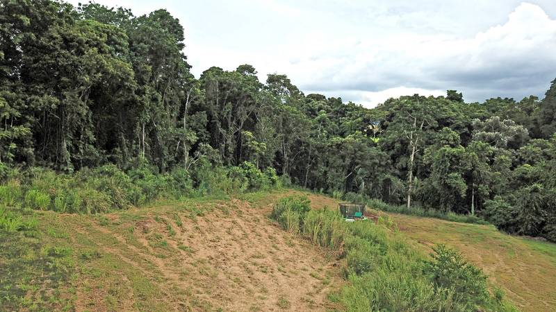 14 Junjum Close, Goldsborough, QLD 4868