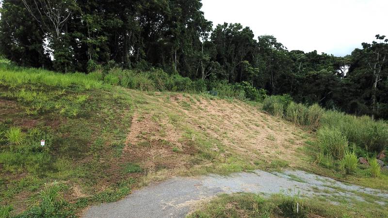 14 Junjum Close, Goldsborough, QLD 4868