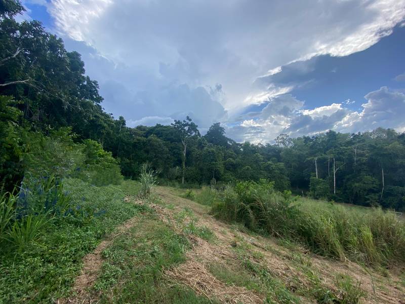 14 Junjum Close, Goldsborough, QLD 4868