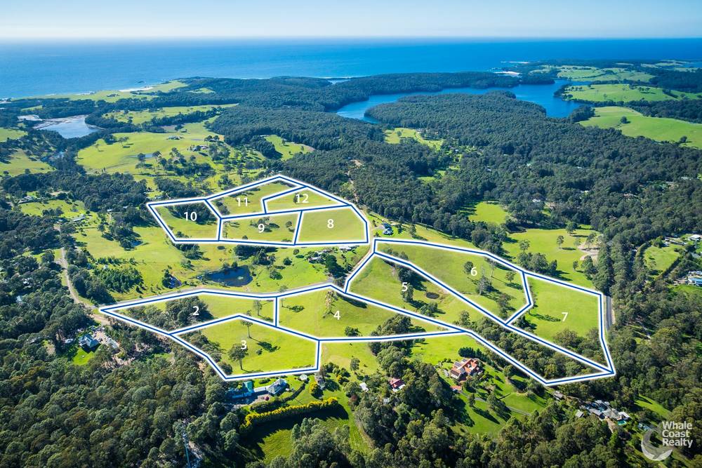 81 Wonga Road, NAROOMA, NSW 2546