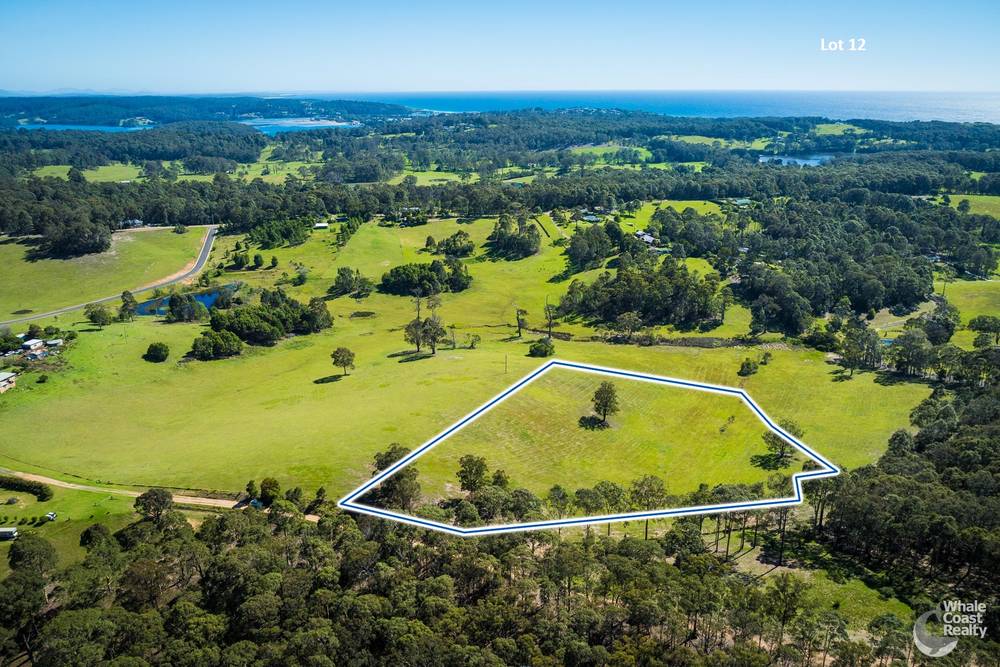 81 Wonga Road, NAROOMA, NSW 2546