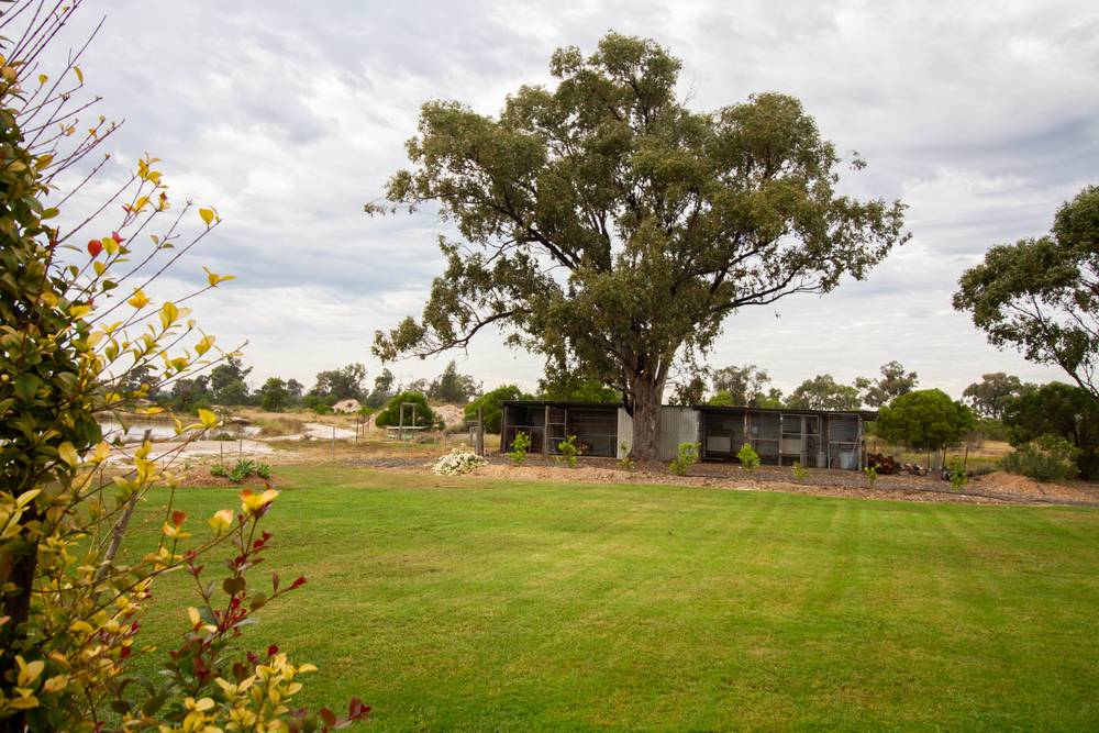 164 Carisbrooke Road, GOONDIWINDI, QLD 4390