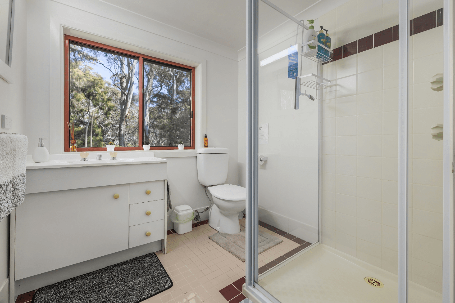 43 Fern Tree Close, Arakoon, NSW 2431