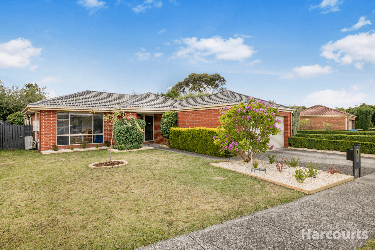 31 Michelle Drive, BERWICK, VIC 3806