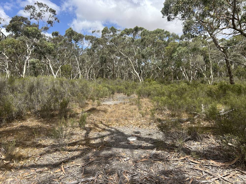 Section 292 Crower Road, Lucindale, SA 5272