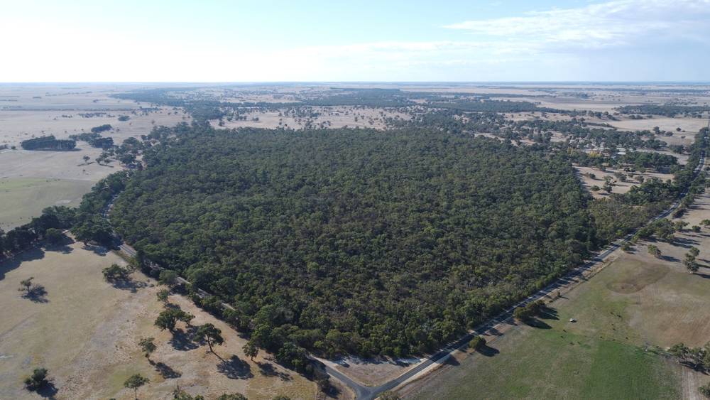 Section 292 Crower Road, Lucindale, SA 5272
