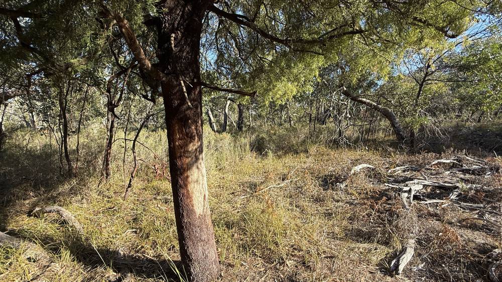Section 292 Crower Road, Lucindale, SA 5272