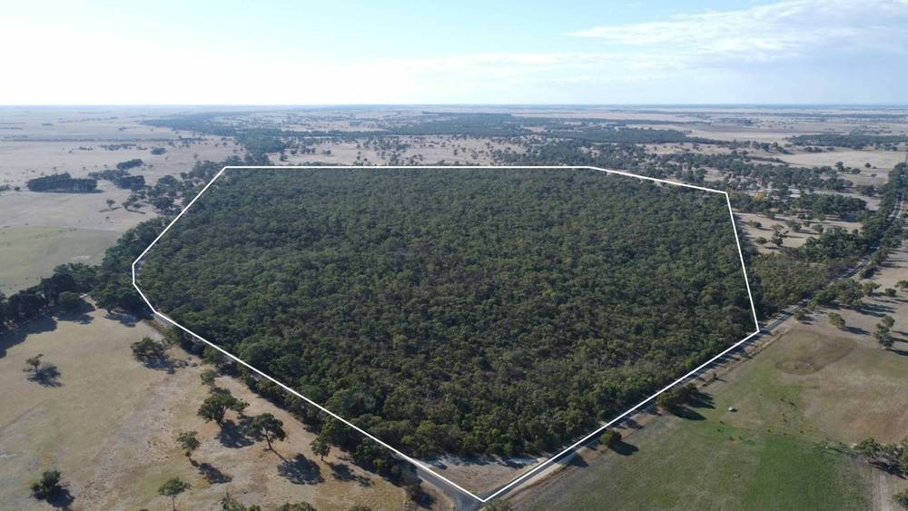 Section 292 Crower Road, Lucindale, SA 5272