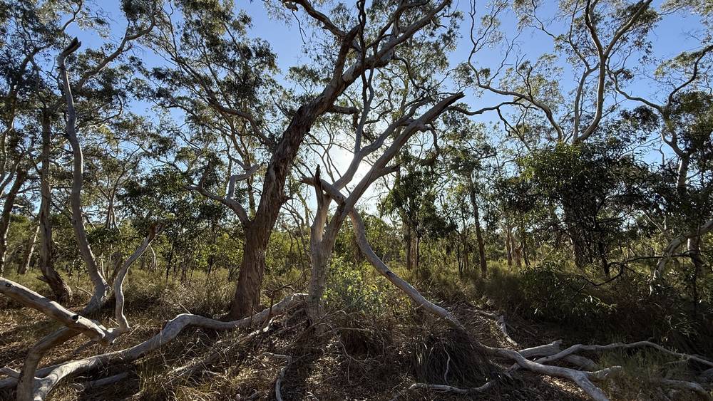 Section 292 Crower Road, Lucindale, SA 5272