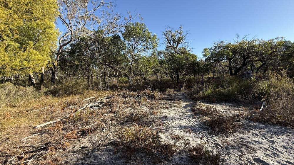 Section 292 Crower Road, Lucindale, SA 5272