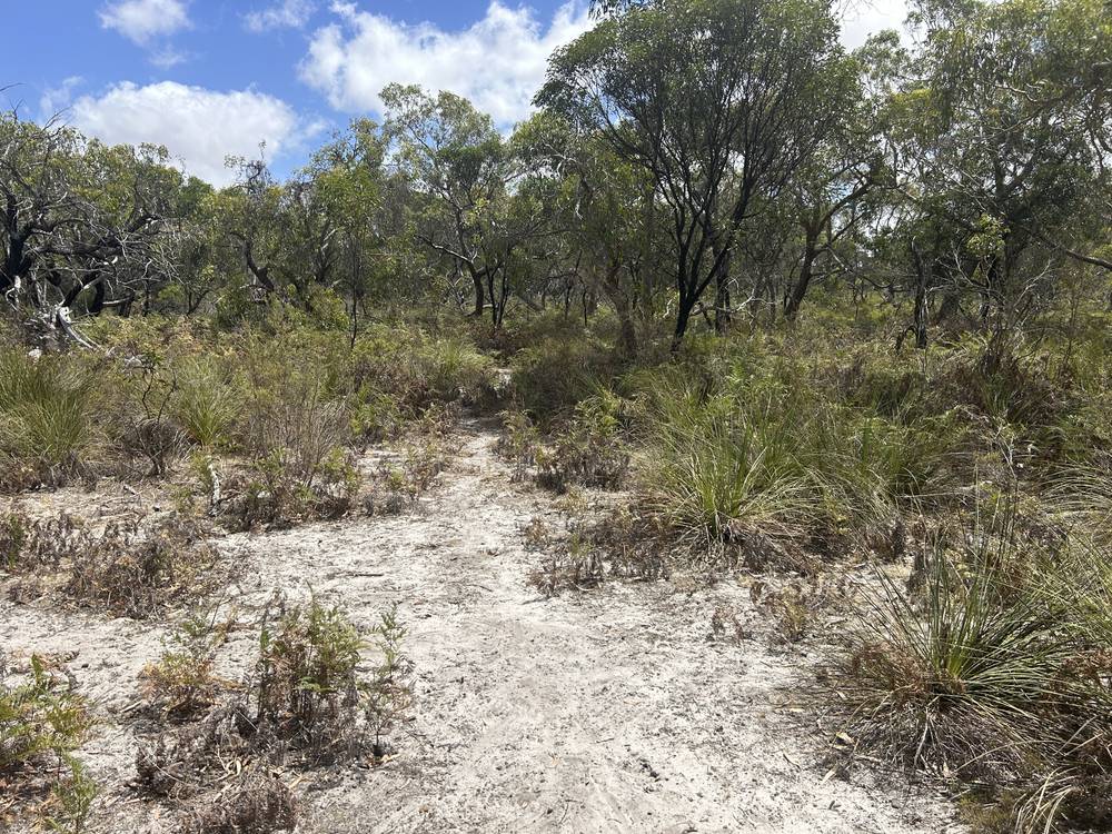 Section 292 Crower Road, Lucindale, SA 5272