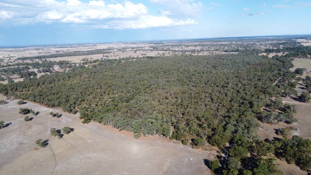 Section 292 Crower Road, Lucindale, SA 5272