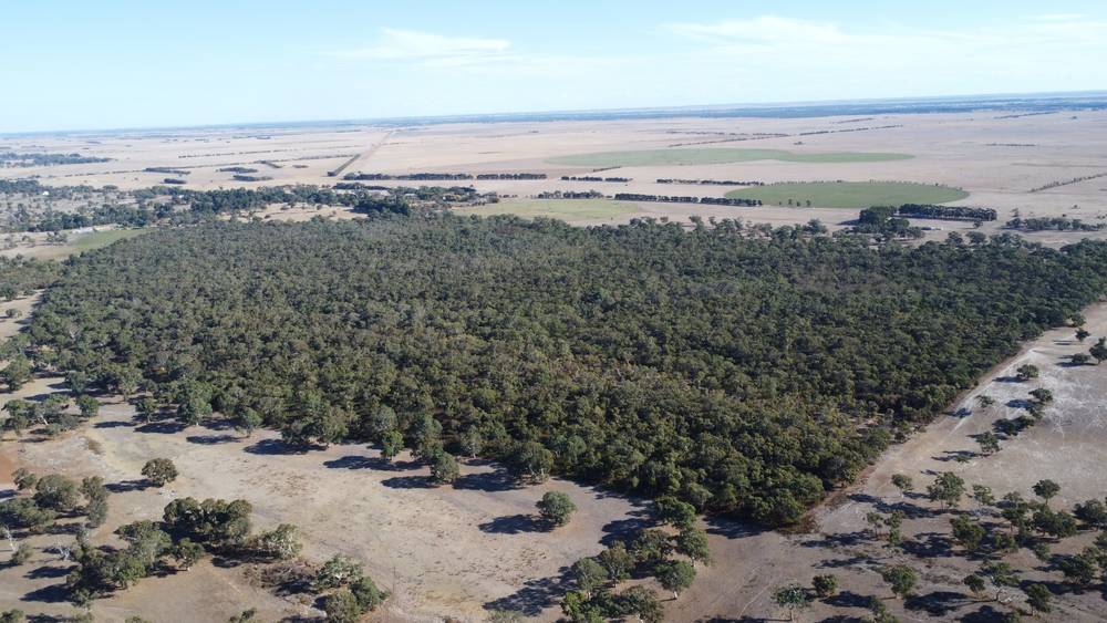 Section 292 Crower Road, Lucindale, SA 5272