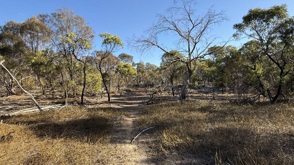Section 292 Crower Road, Lucindale, SA 5272