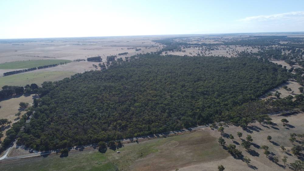 Section 292 Crower Road, Lucindale, SA 5272