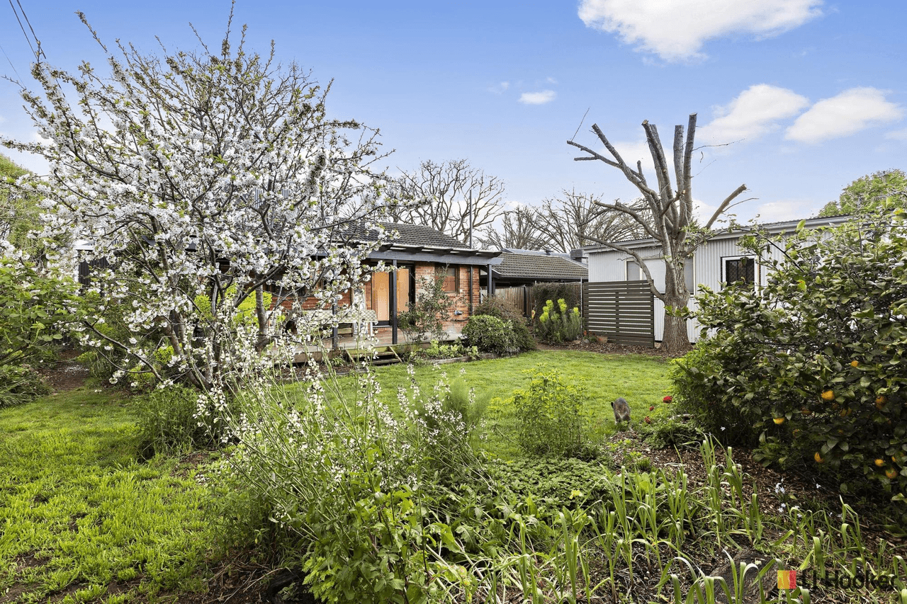 71 Burn Street, DOWNER, ACT 2602