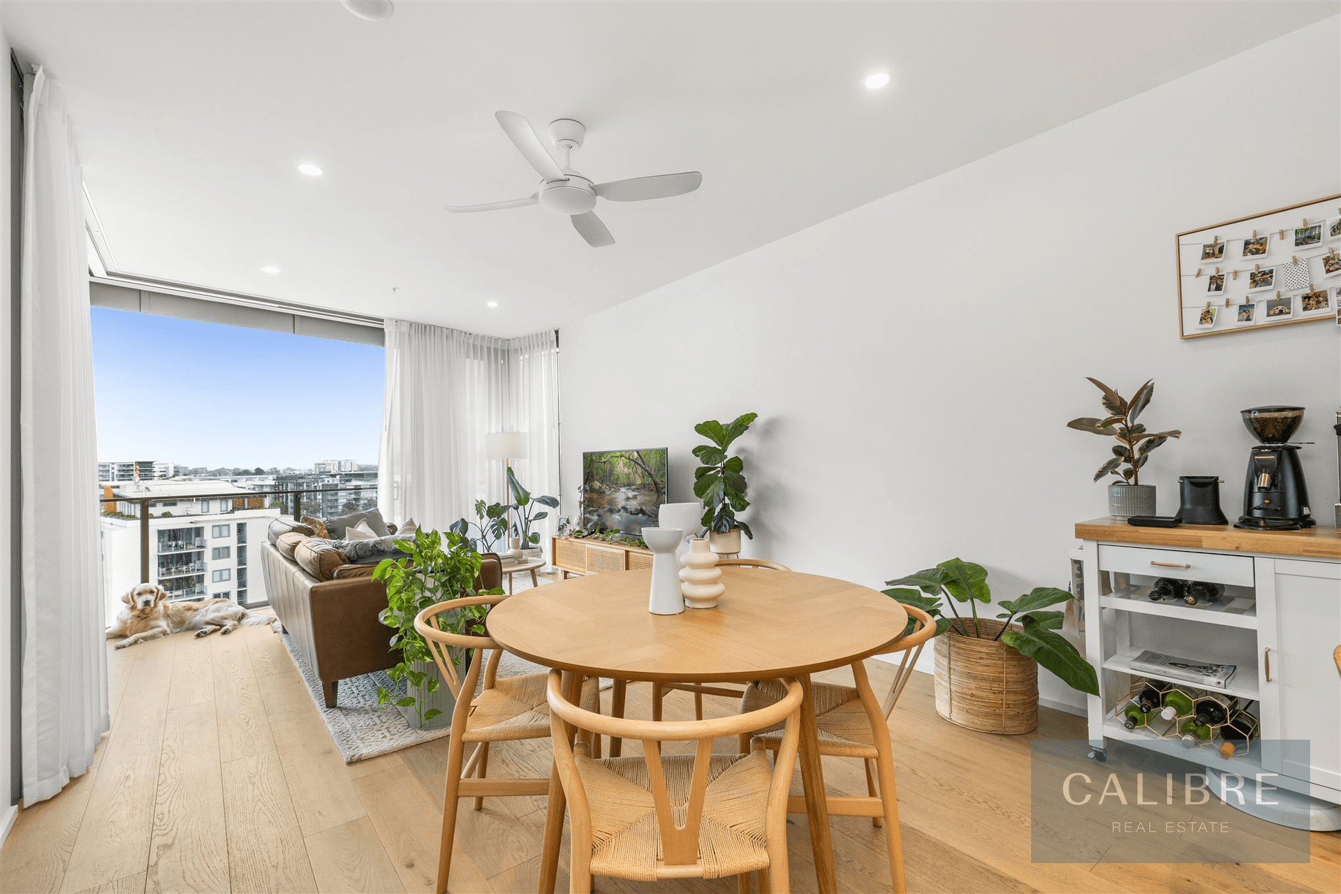 30804/9 Pidgeon Close, West End, QLD 4101