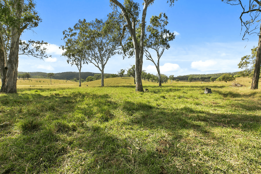 697 Blacksnake Road, KILKIVAN, QLD 4600