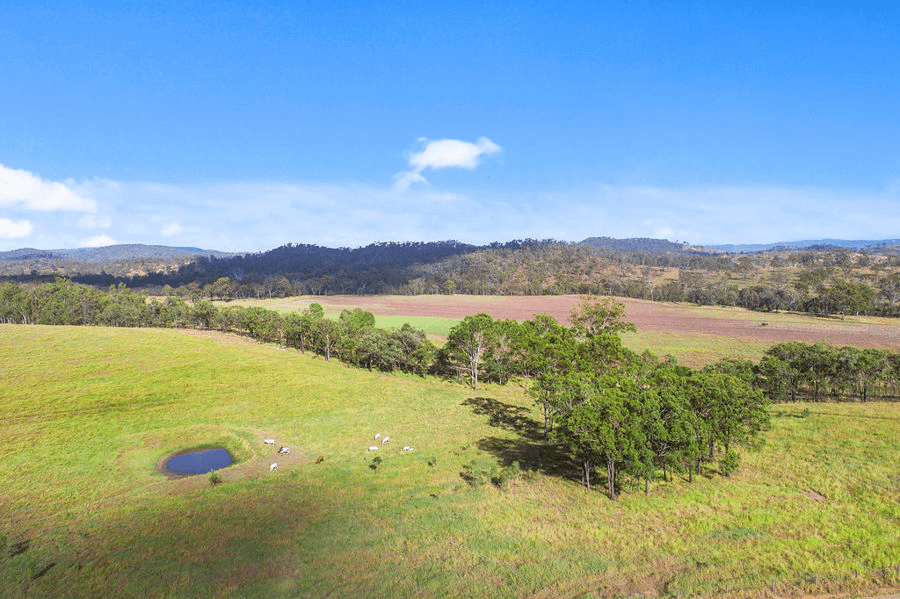 697 Blacksnake Road, KILKIVAN, QLD 4600