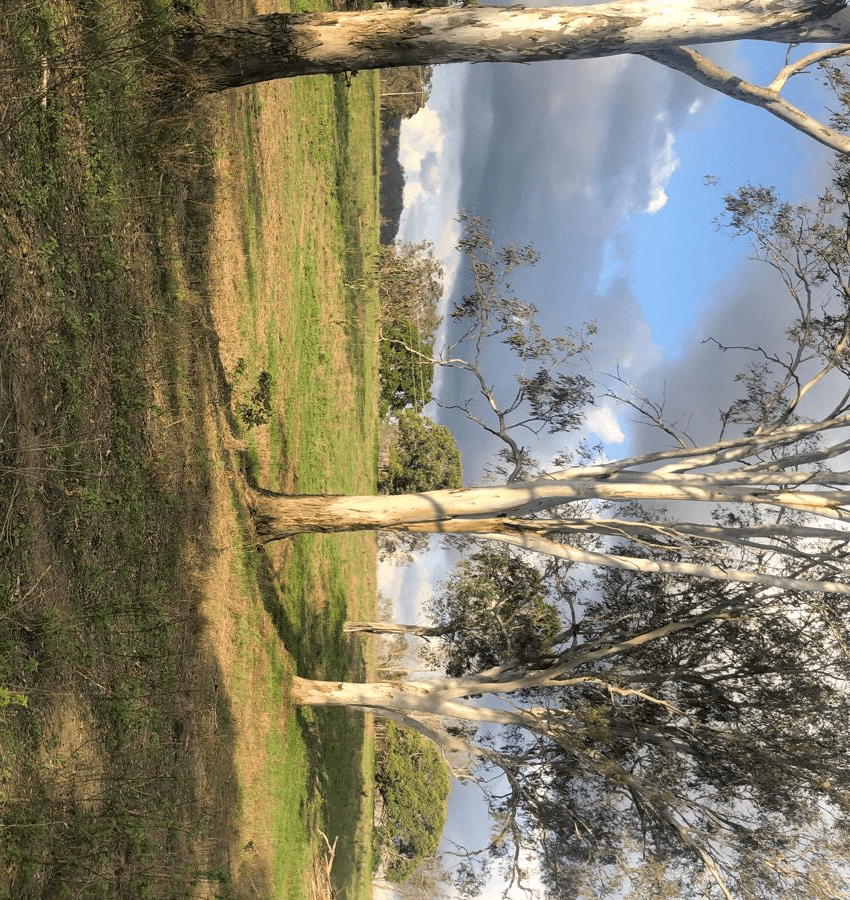 Bular Road, OAKVIEW, QLD 4600