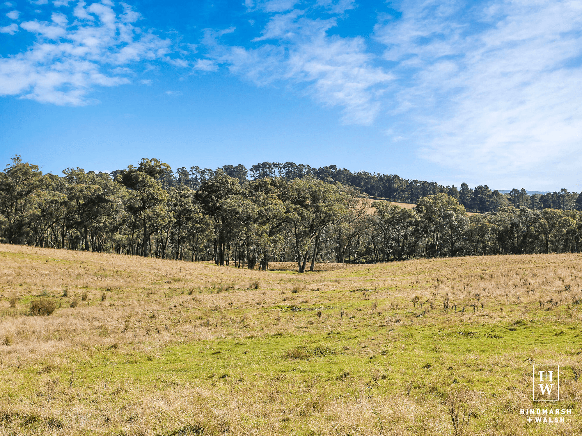 595 Inverary Road, Paddys River, NSW 2577