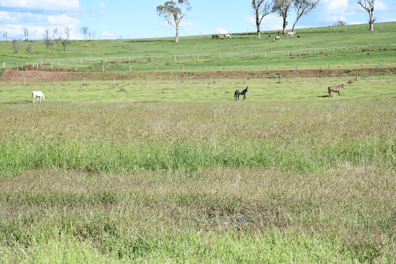 158 Budgee Road, EAST GREENMOUNT, QLD 4359