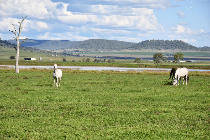 158 Budgee Road, EAST GREENMOUNT, QLD 4359