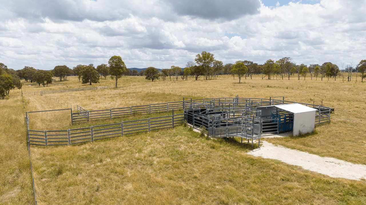 1590 Old Armidale Road, GUYRA, NSW 2365