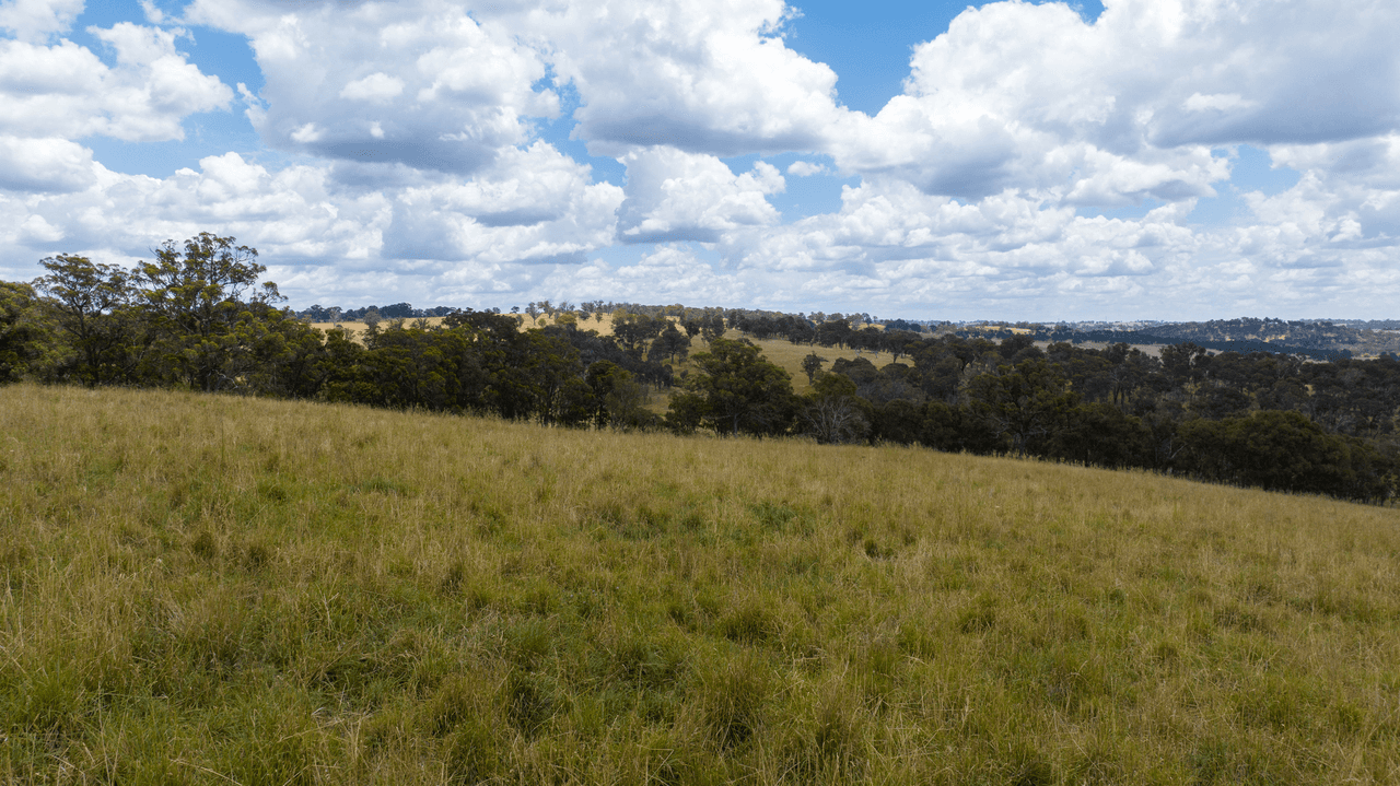 1590 Old Armidale Road, GUYRA, NSW 2365