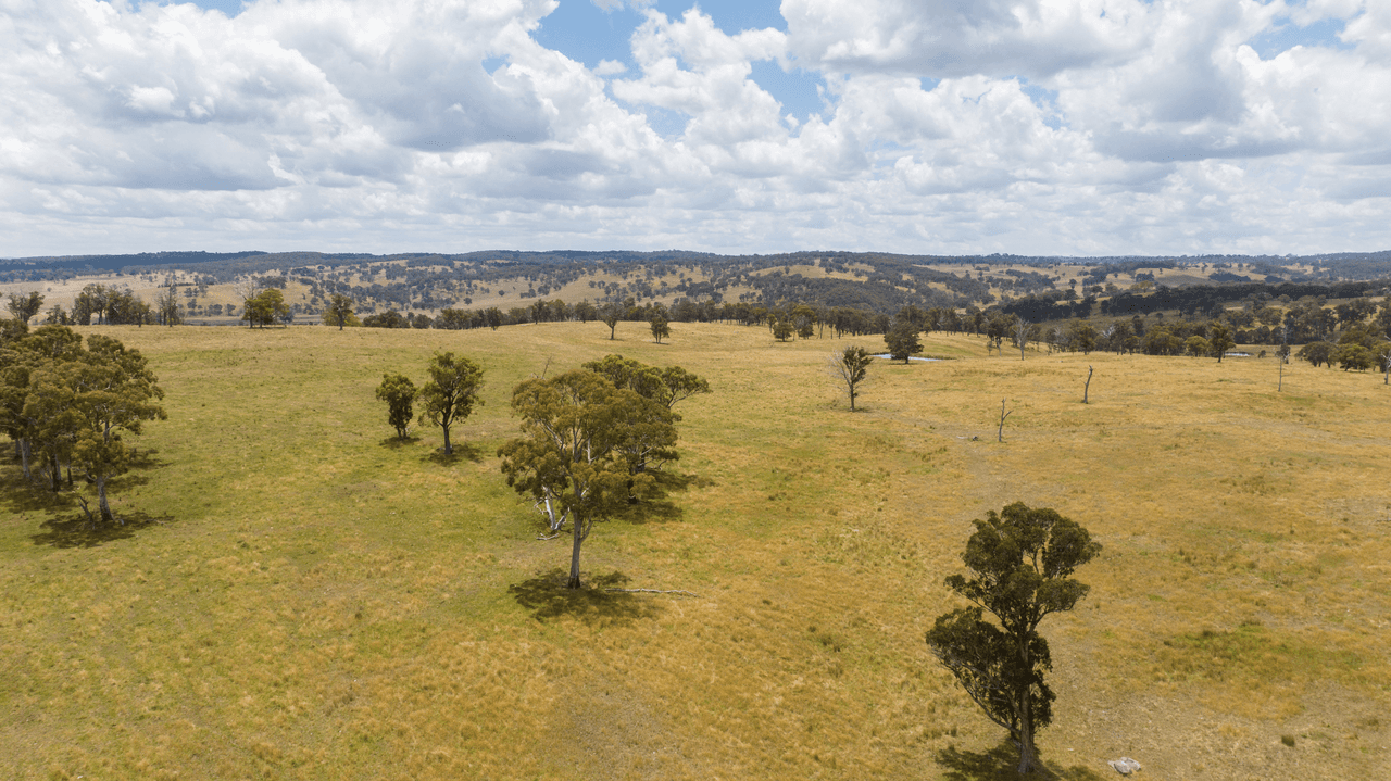 1590 Old Armidale Road, GUYRA, NSW 2365