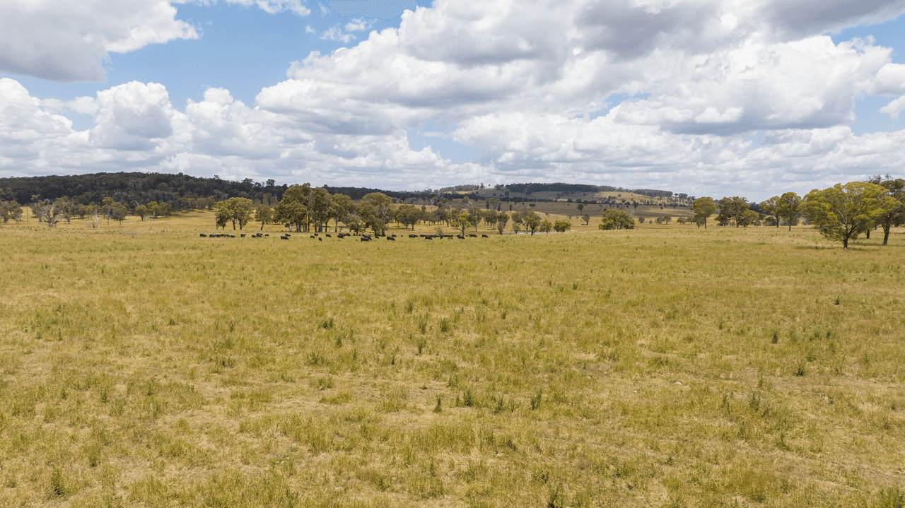 1590 Old Armidale Road, GUYRA, NSW 2365