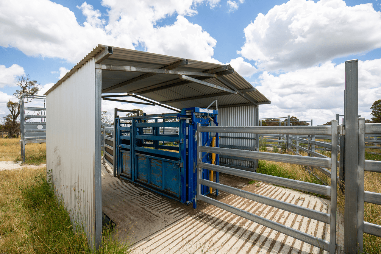 1590 Old Armidale Road, GUYRA, NSW 2365