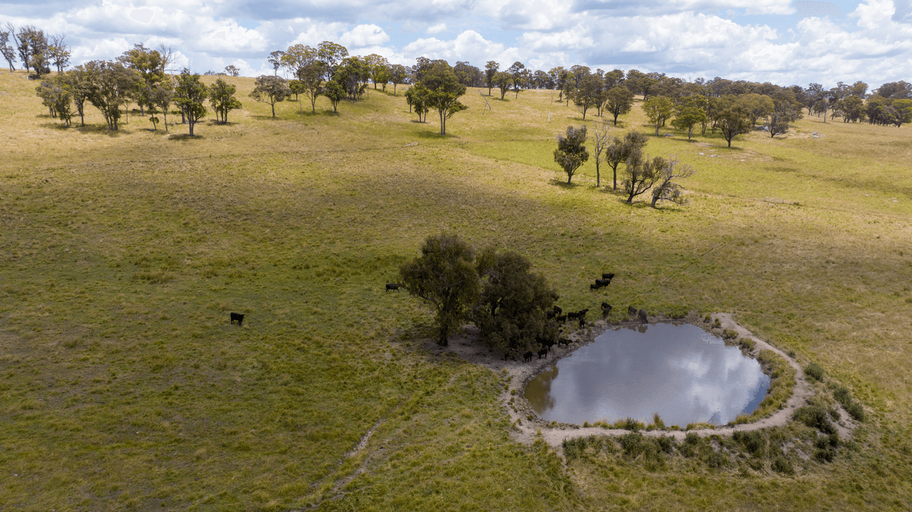 1590 Old Armidale Road, GUYRA, NSW 2365