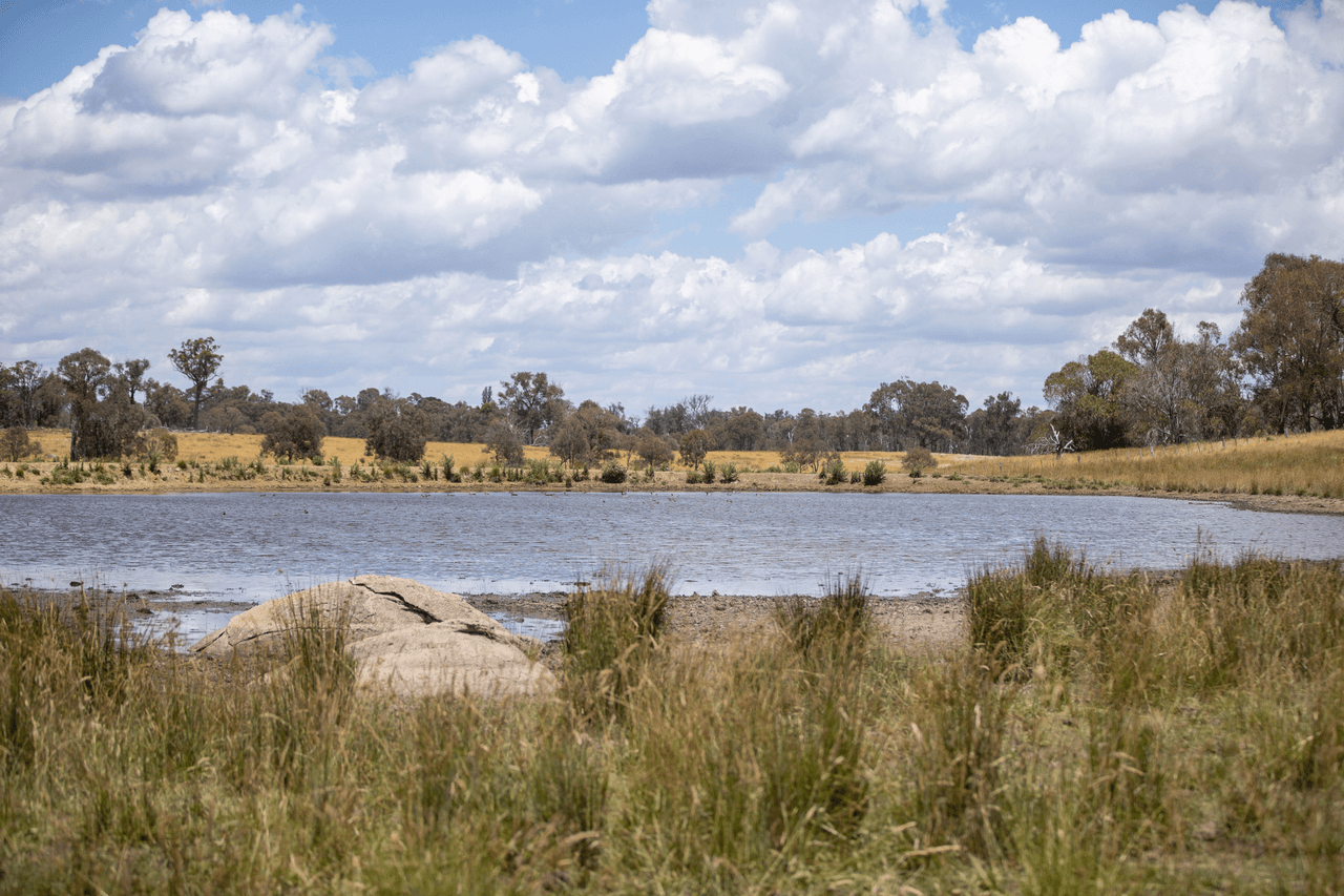 1590 Old Armidale Road, GUYRA, NSW 2365