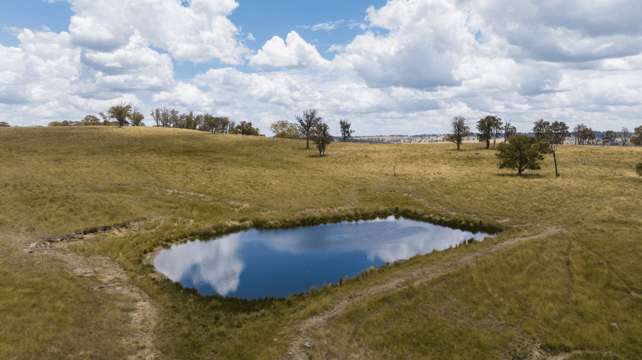 1590 Old Armidale Road, GUYRA, NSW 2365