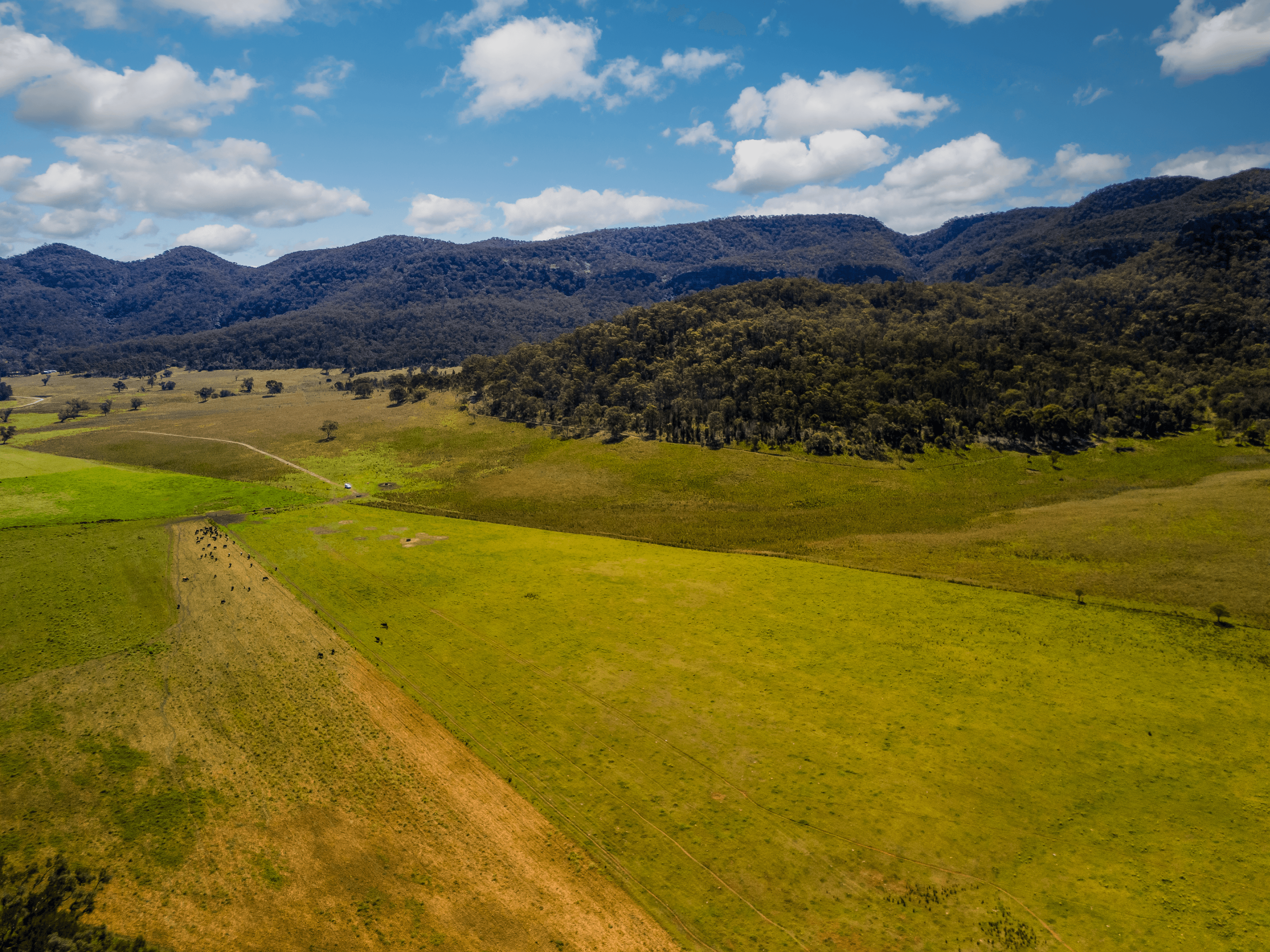 1692 Martindale Road, Denman, NSW 2328