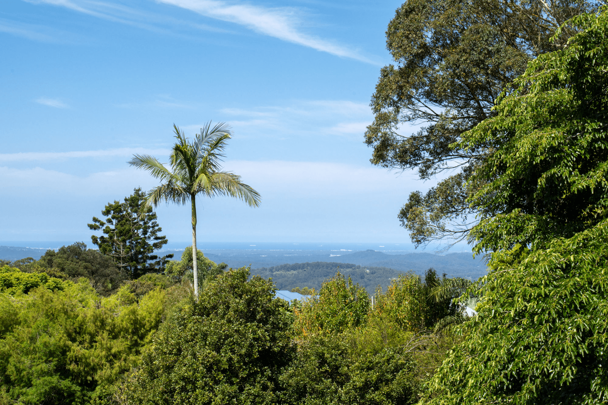 45 Benecke Road, BALMORAL RIDGE, QLD 4552