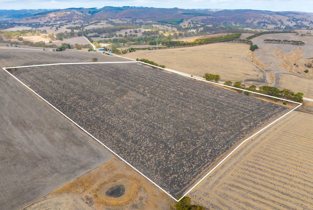 Lot 112 Hay Flat Road, HAY FLAT, SA 5204