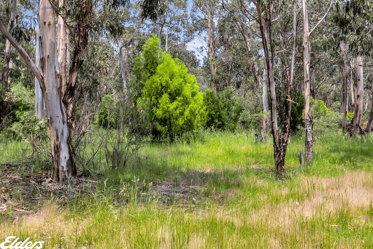 3445 HYLAND Highway, CARRAJUNG LOWER, VIC 3844